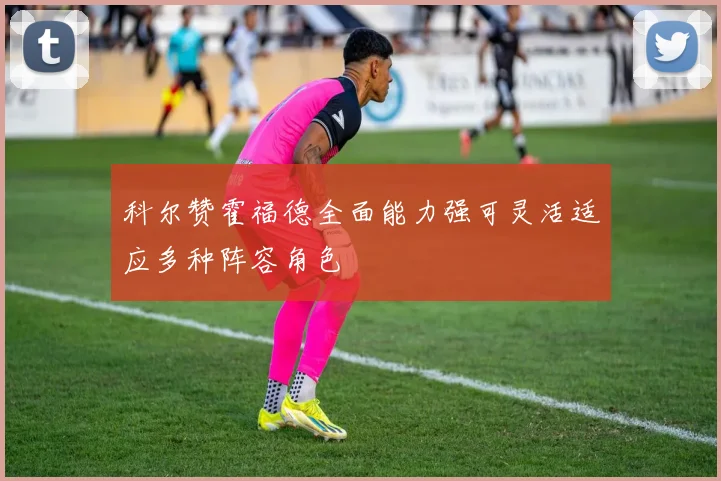 科尔赞霍福德全面能力强可灵活适应多种阵容角色