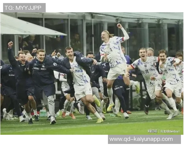 哈兰德独占鳌头欧洲世预赛最佳射手荣誉加身16球成就传奇